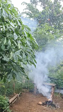 suasana pedesaan
