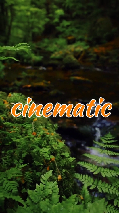 video sinematik 4