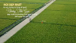 Caption Cuộc Sống