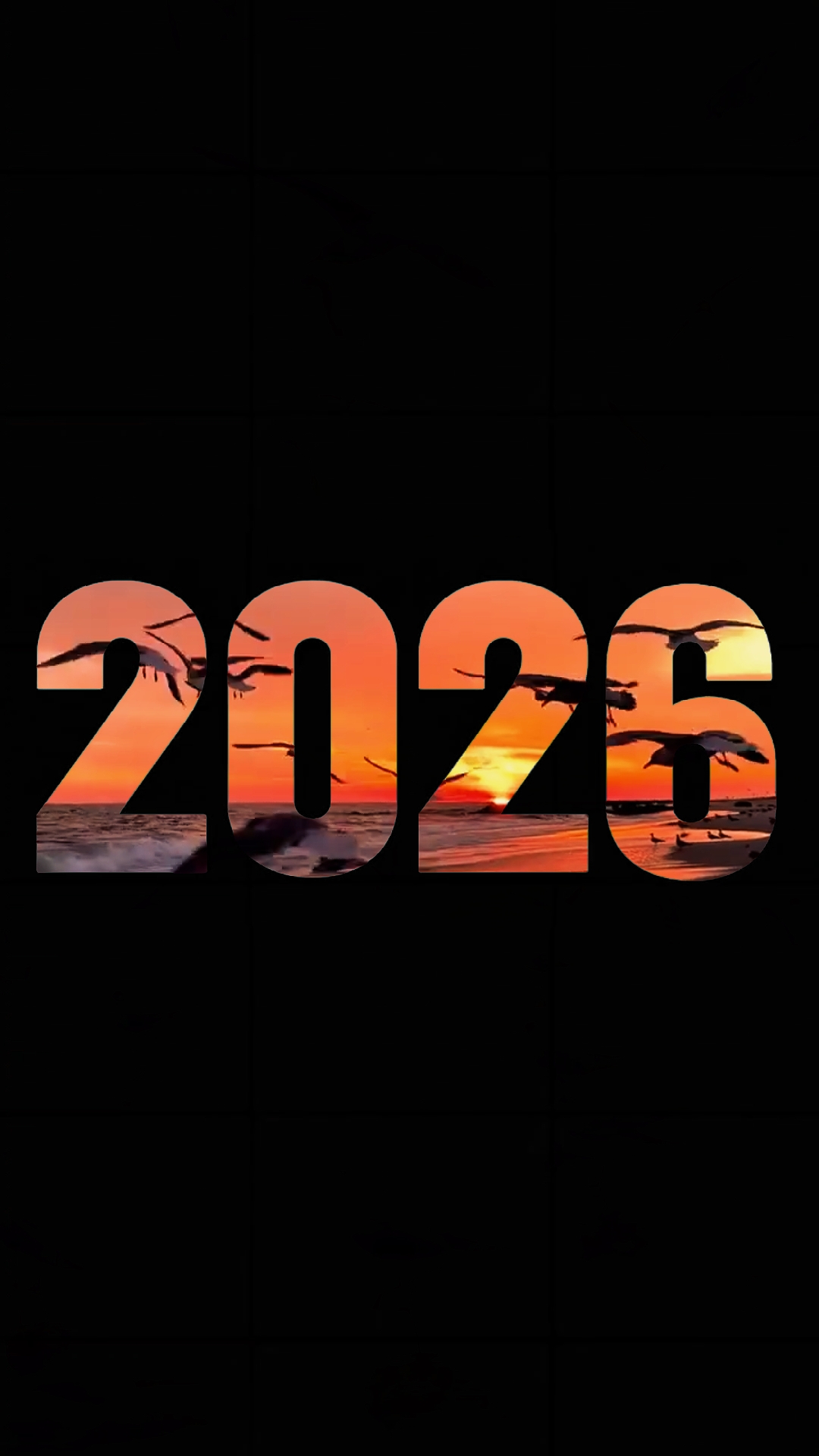THE 2026 SEASON