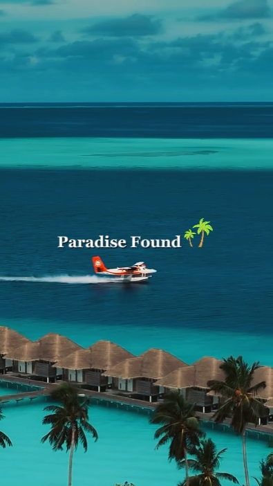 paradise found 