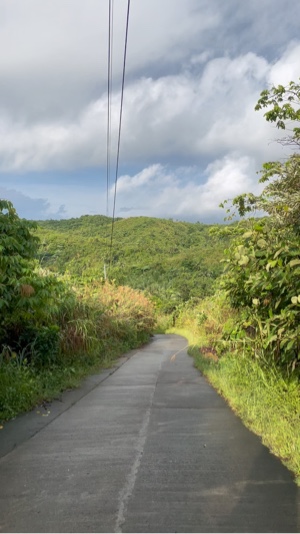 Voyage nature