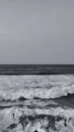Best Slowmotion
