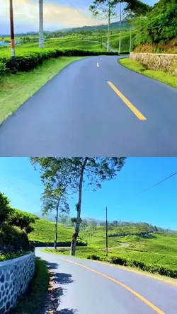 2 video kolase
