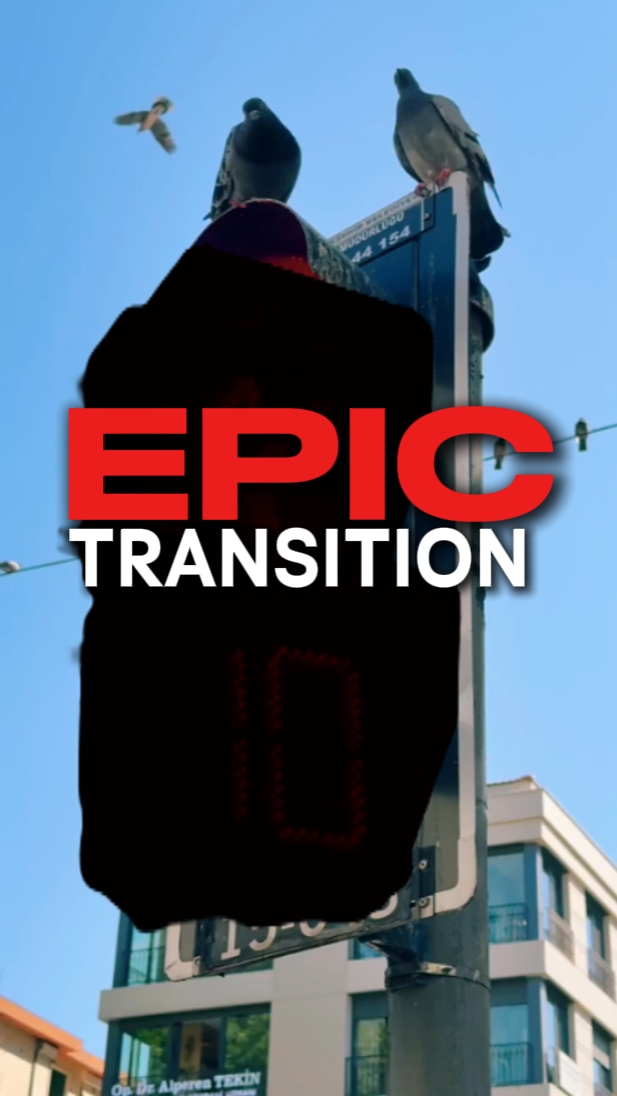EPIC TRANSITION 