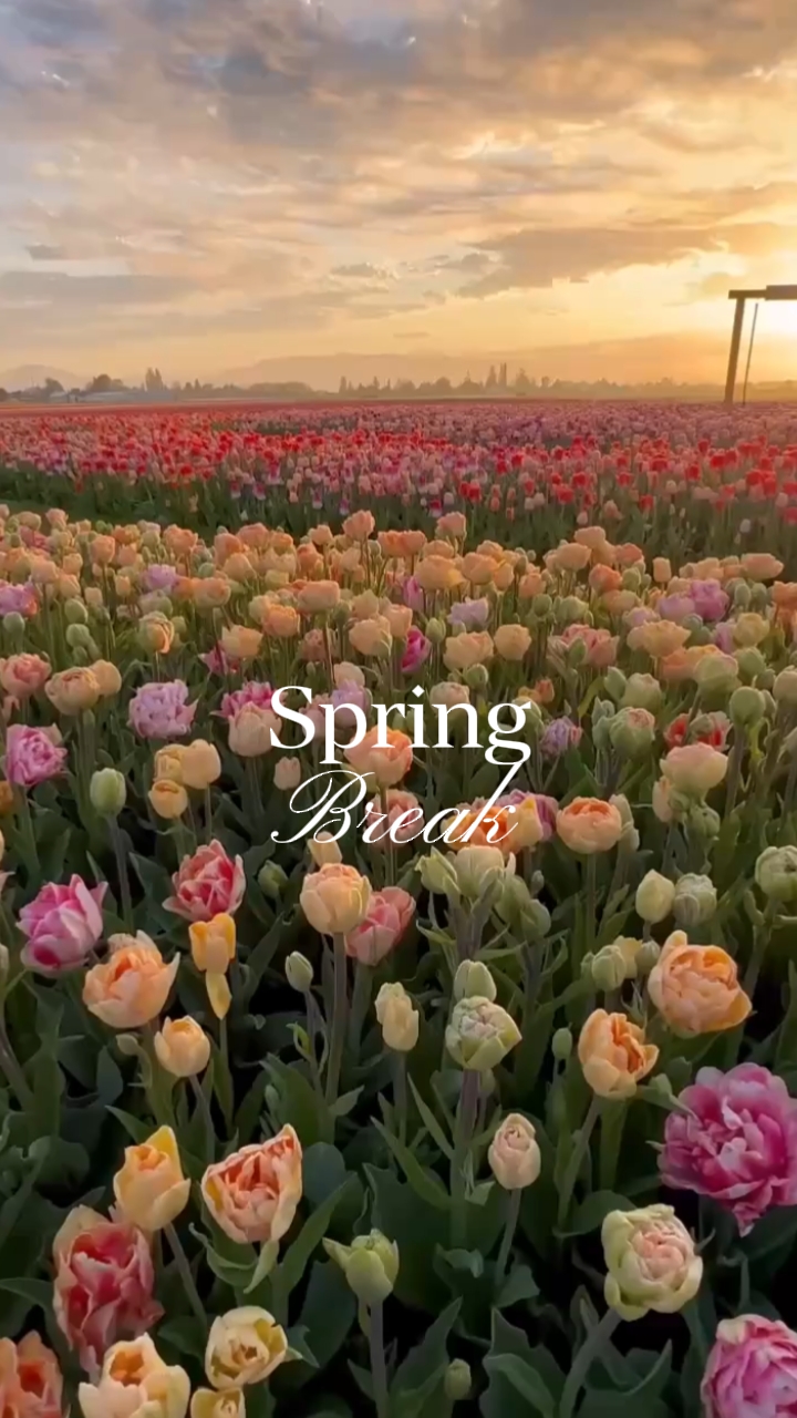 Spring Break