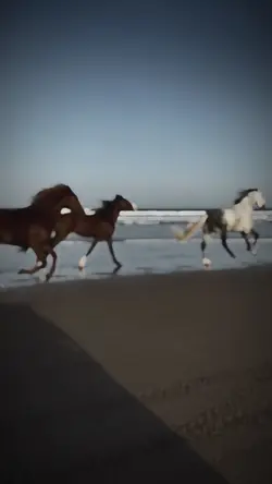 Slow mo trend
