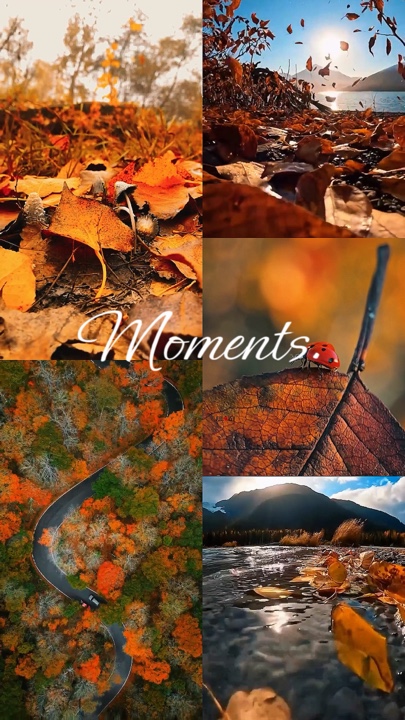 Moments