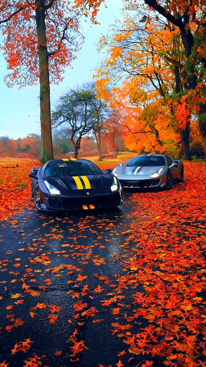 Plantillas de coche 