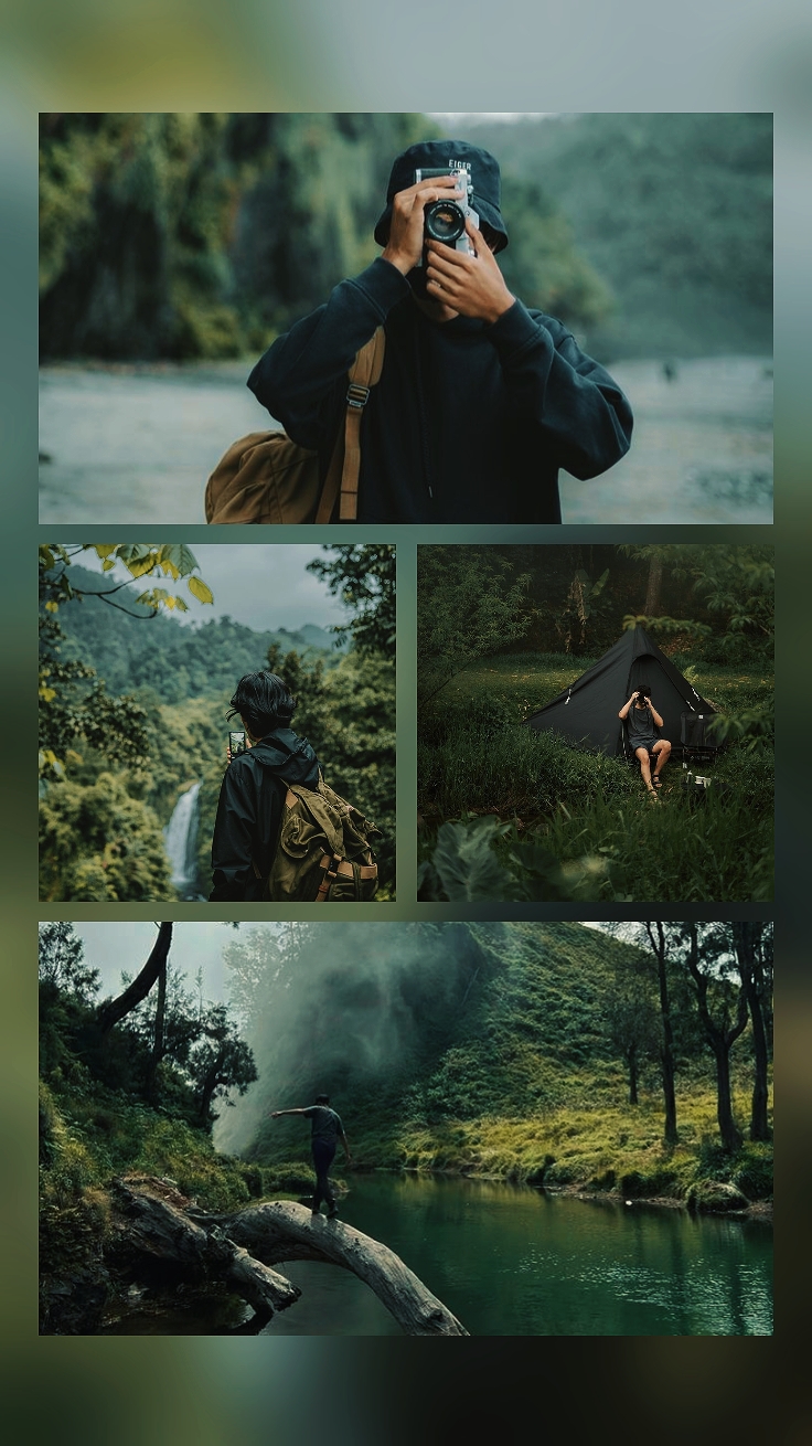 4 pict natureza