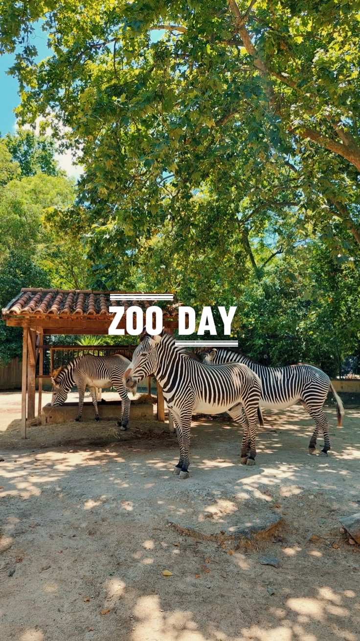 Día del zoológico