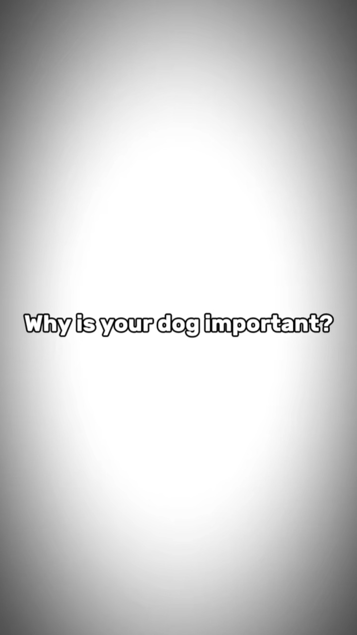 My dog❤️