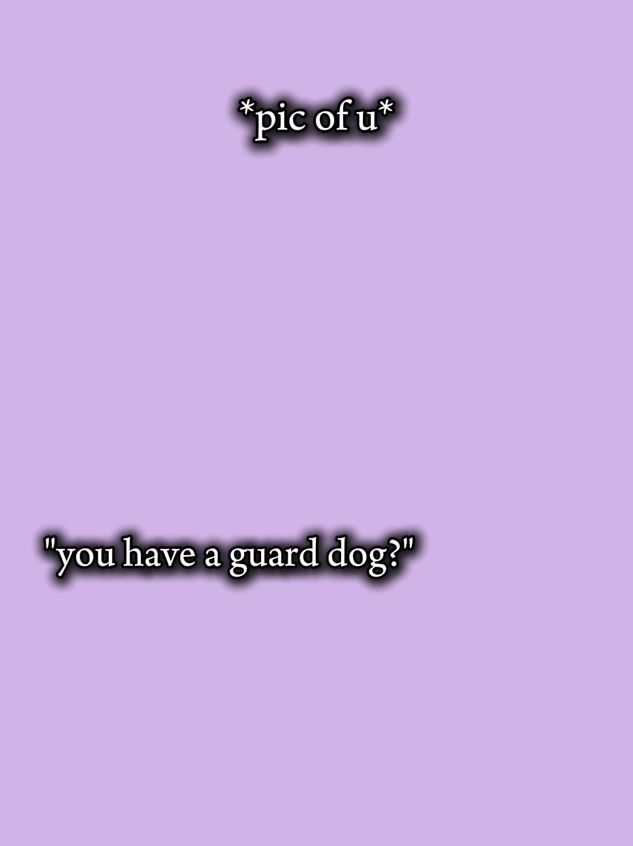 Perro guardián