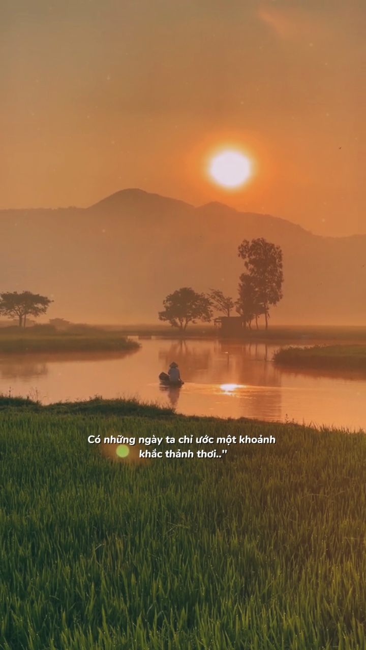 Có những ngày ta chi