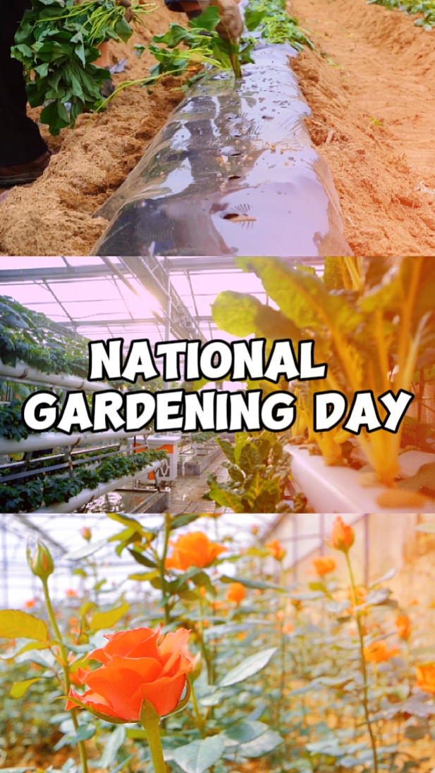 Día de jardinería
