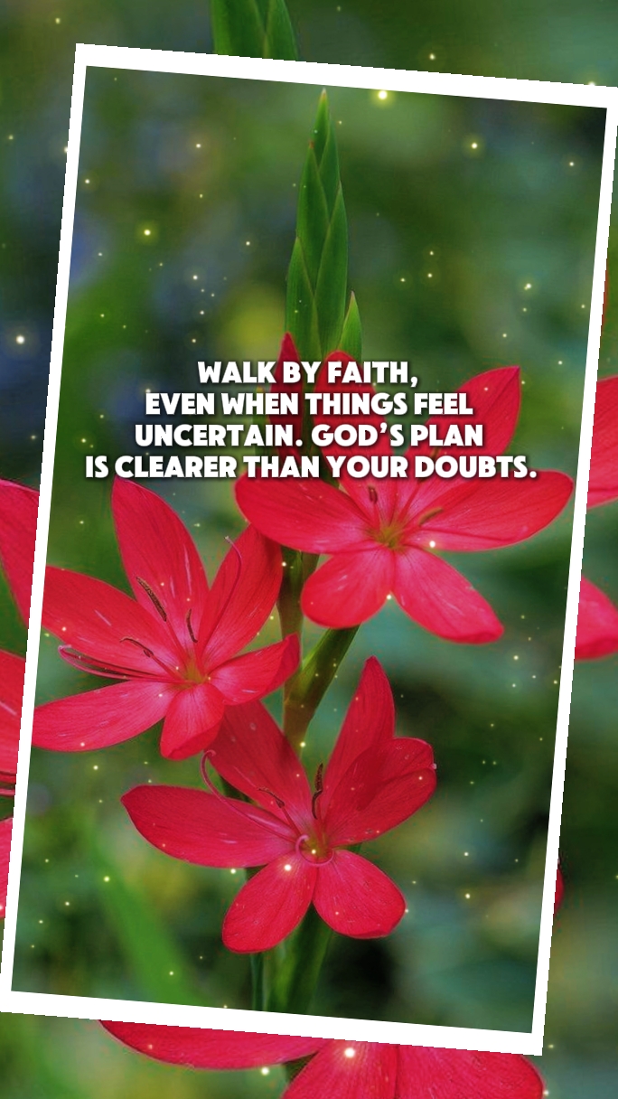 GODS PLAN IS CLEAR