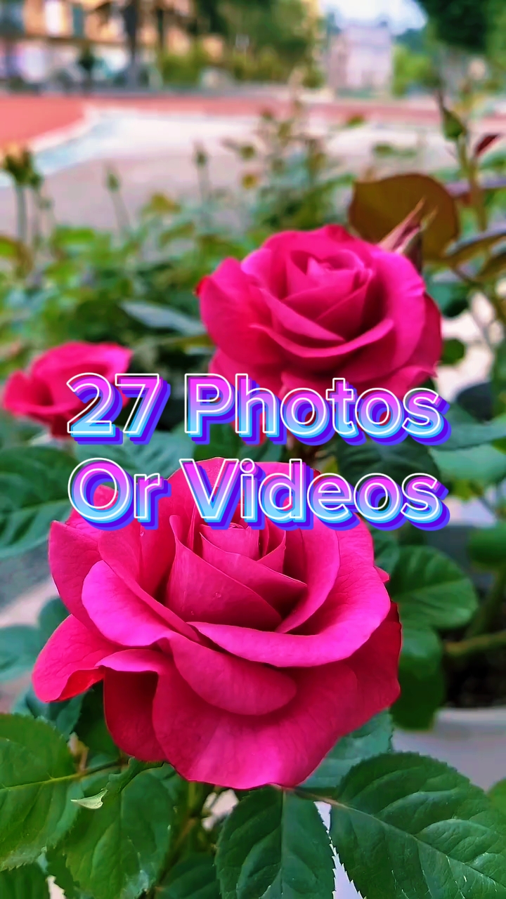 27 diapositives vidéo