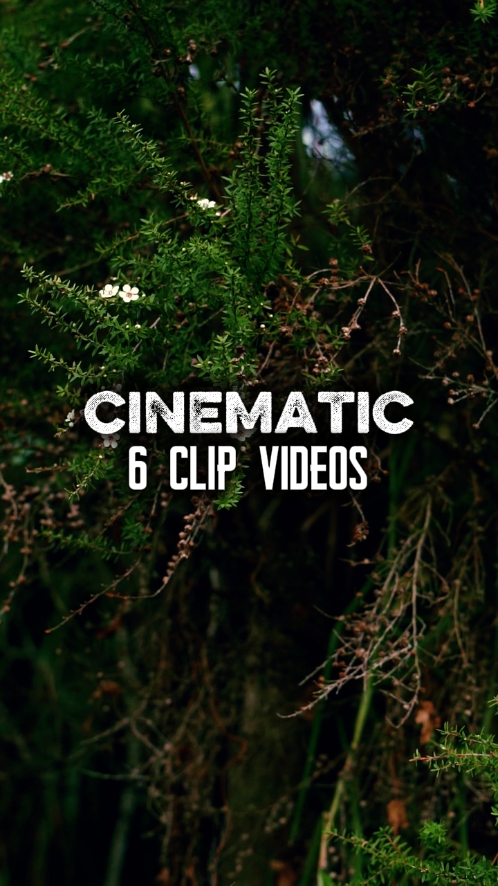 6 Clip videos