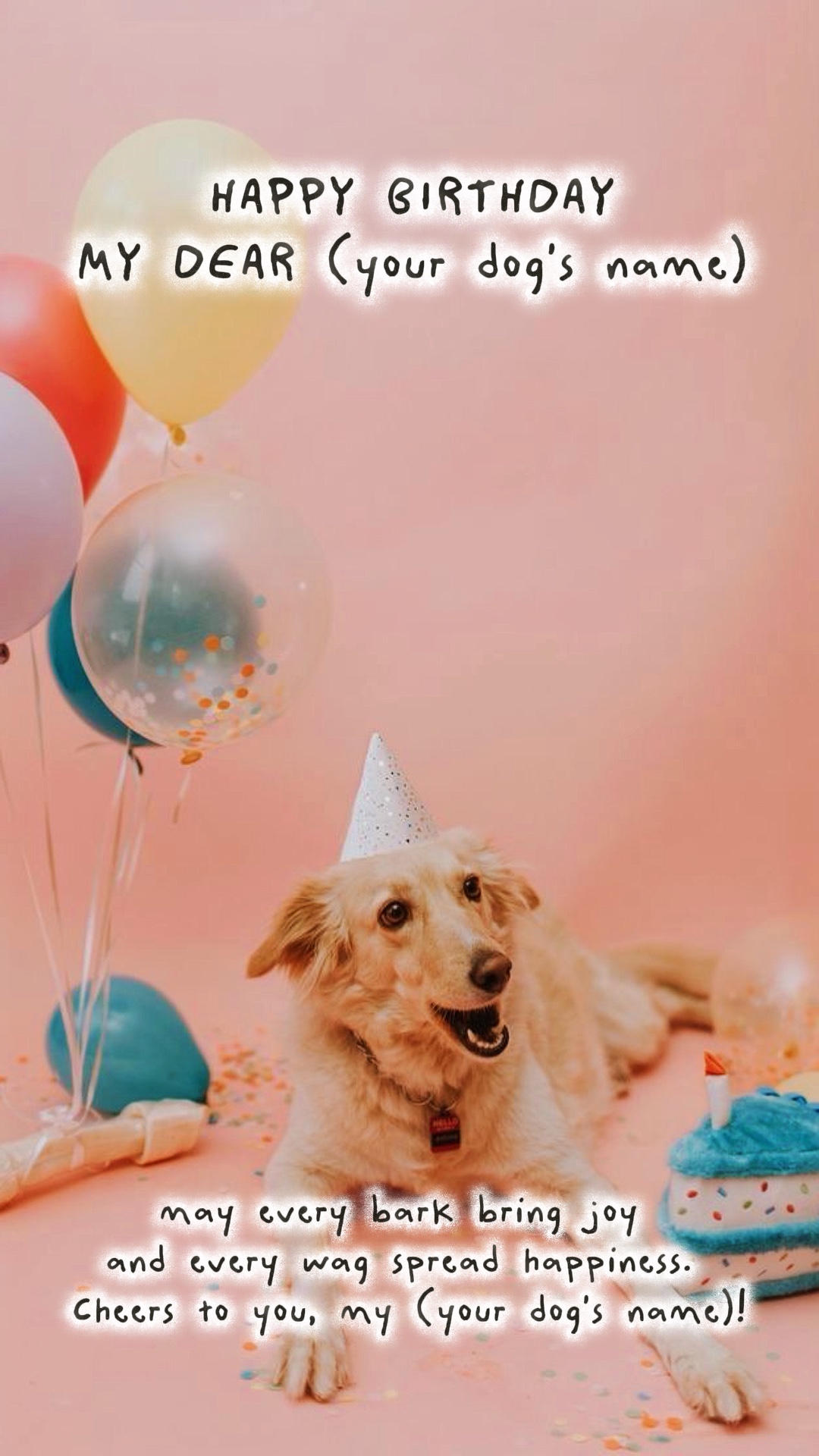 Cachorro de aniversário