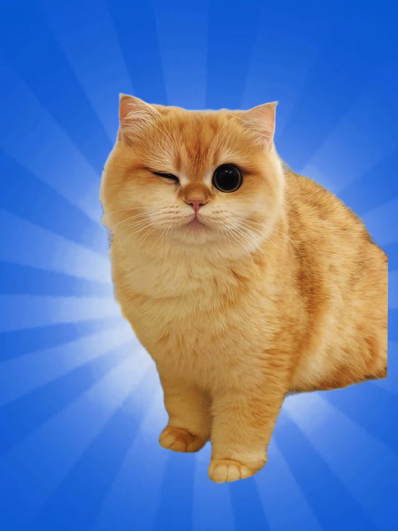 Subway Surf Box