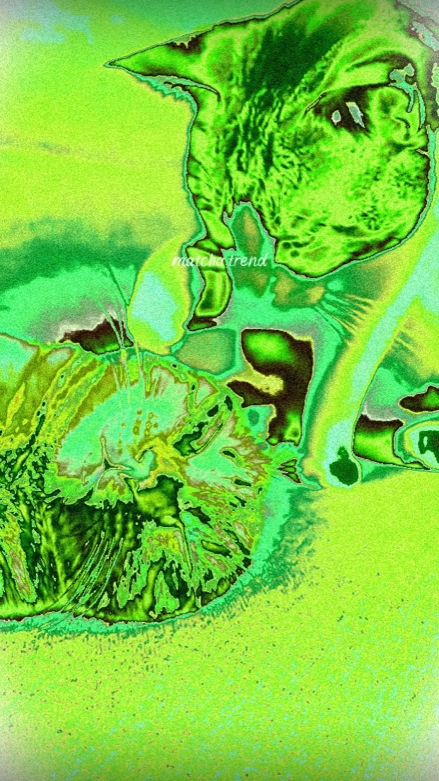 EFEITO GATO MATCHA