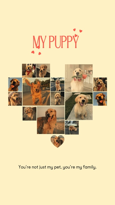 köpeğim 