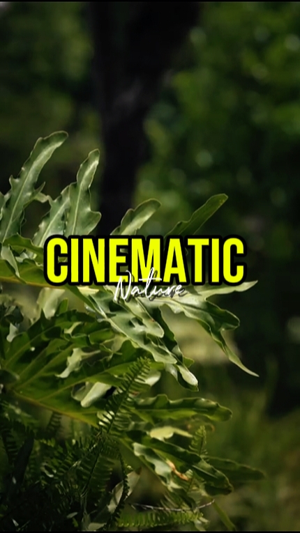CINEMATIC 