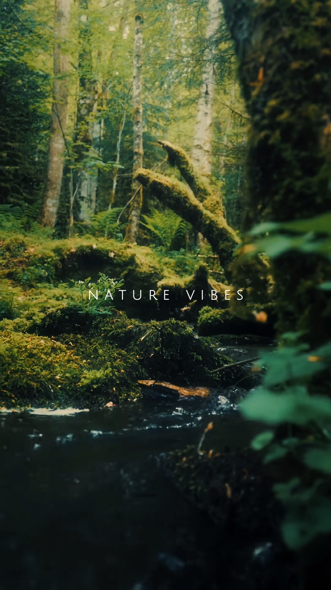Vibraciones de la naturaleza