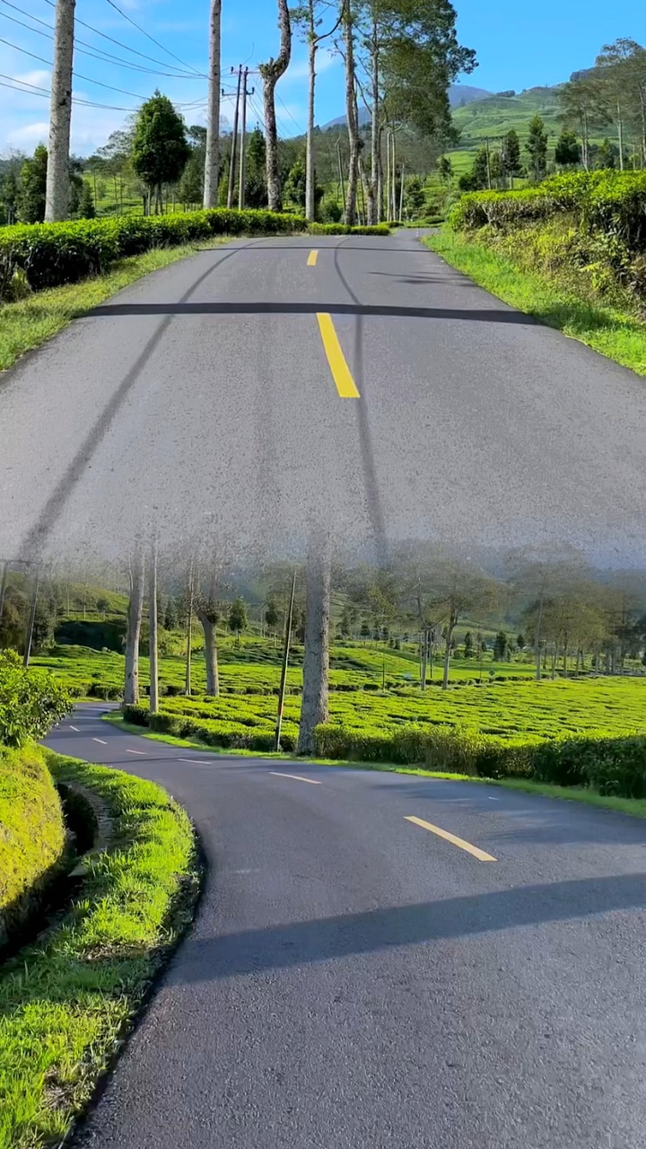 kolase road trip