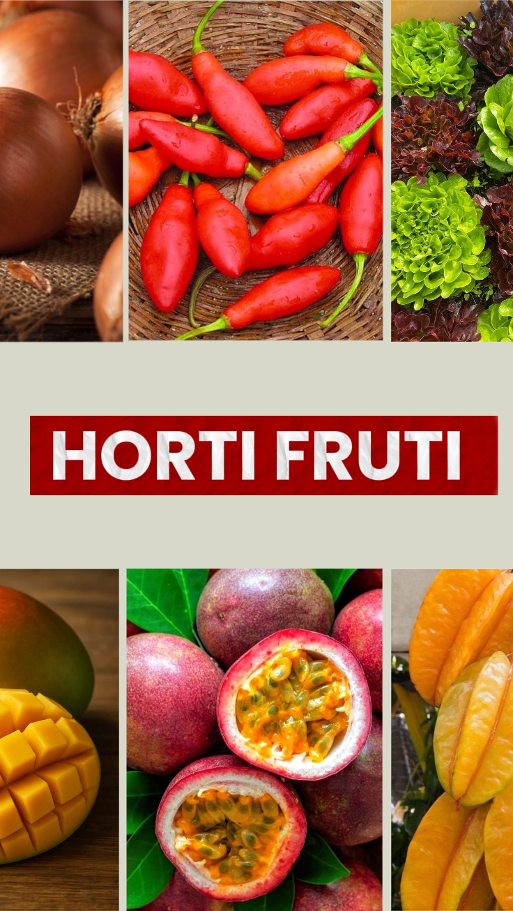 Hortifruti