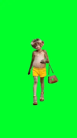 Monkey walking