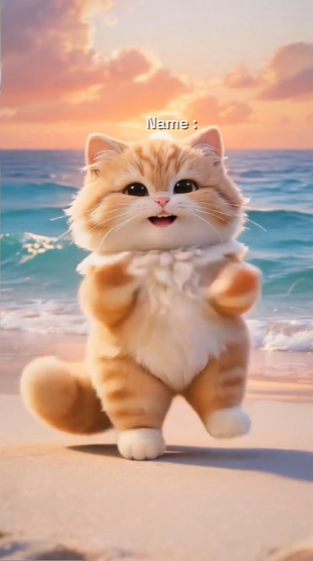 Dans Kedi Trendi