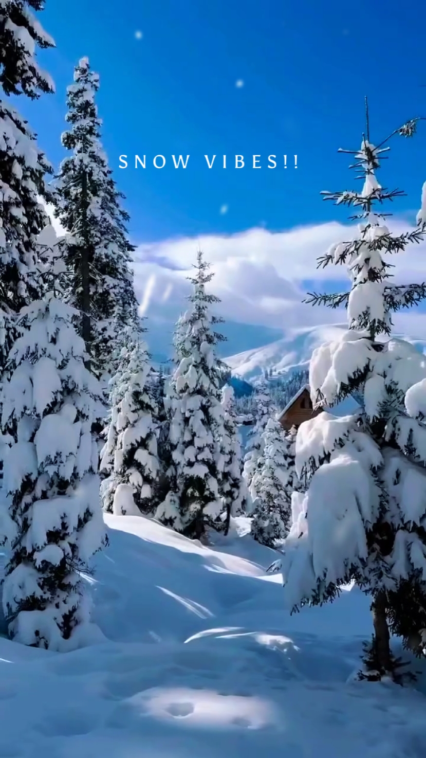 Vibraciones de nieve