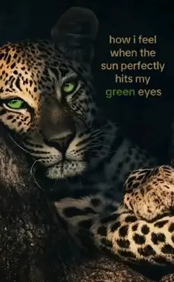 green eyes