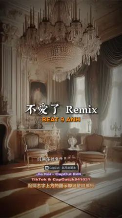 不愛了 Remix
