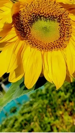 Macro sesh 🌼