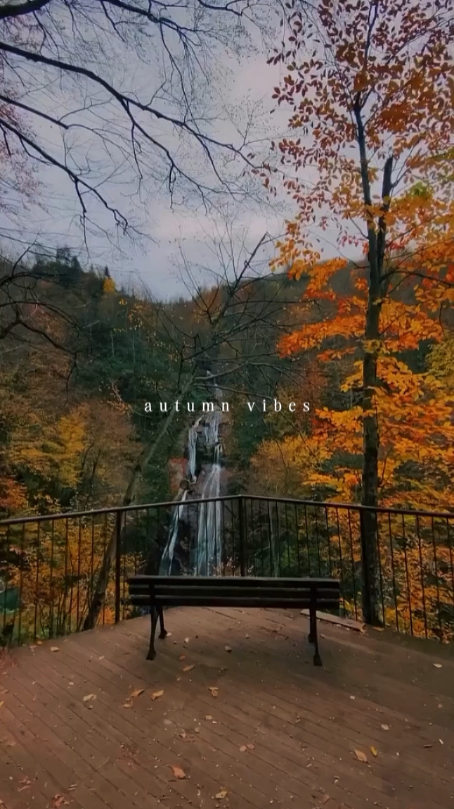 Ambiance d'automne