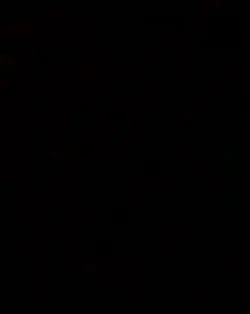 Aşk nedir?
