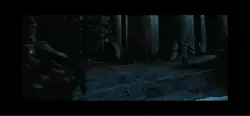 Harry Potter Edit