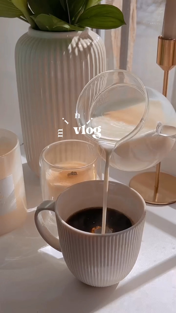 vlog mini