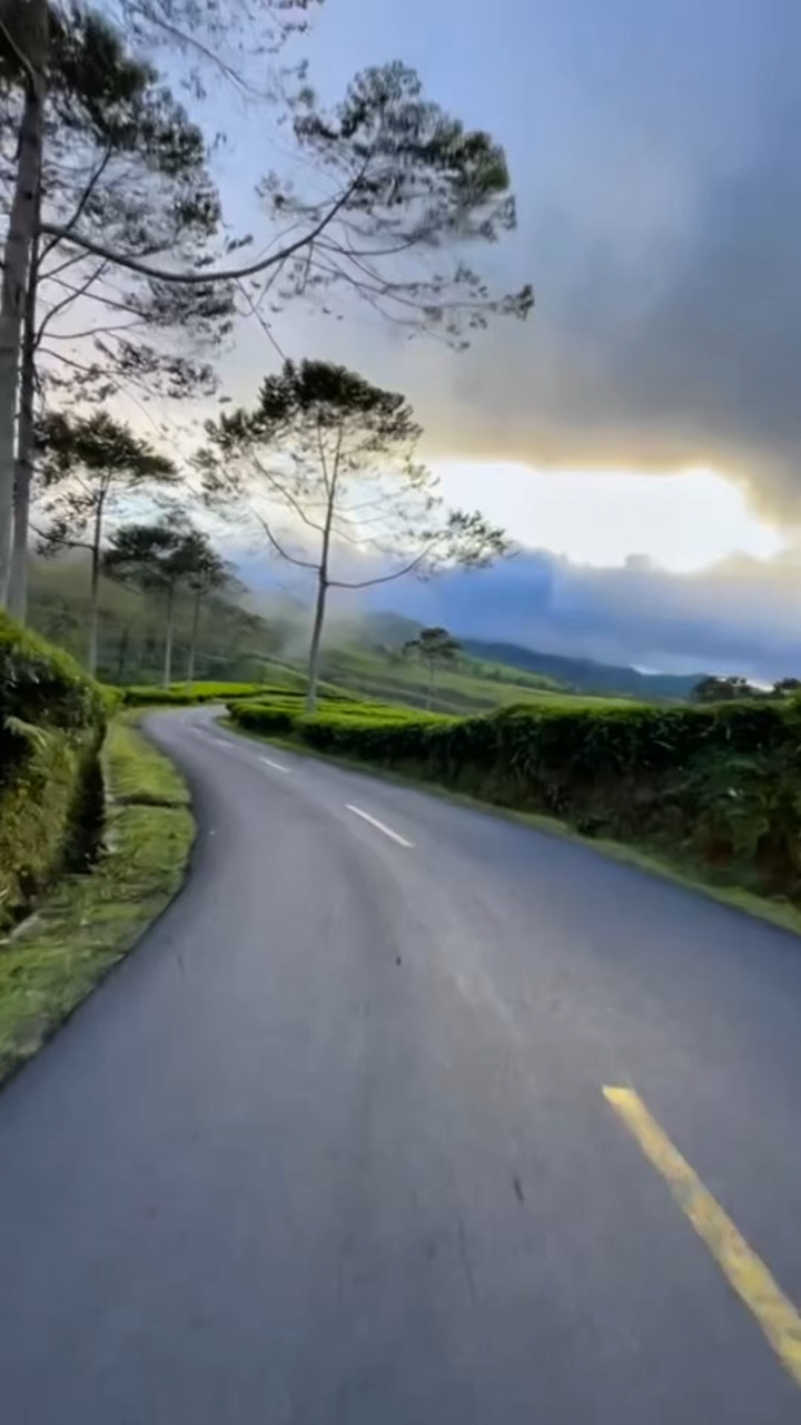 4 video klip road