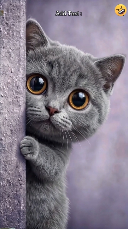 Lustige Katze '