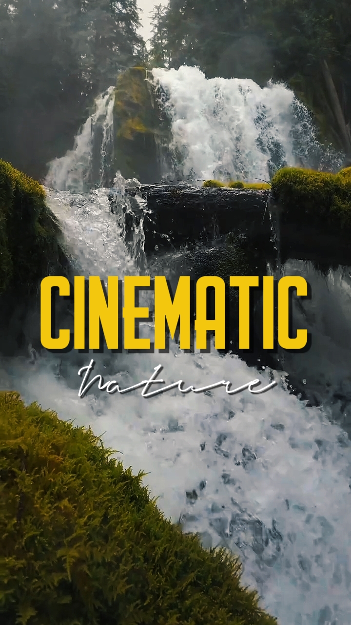 NATURE CINÉMATIQUE 