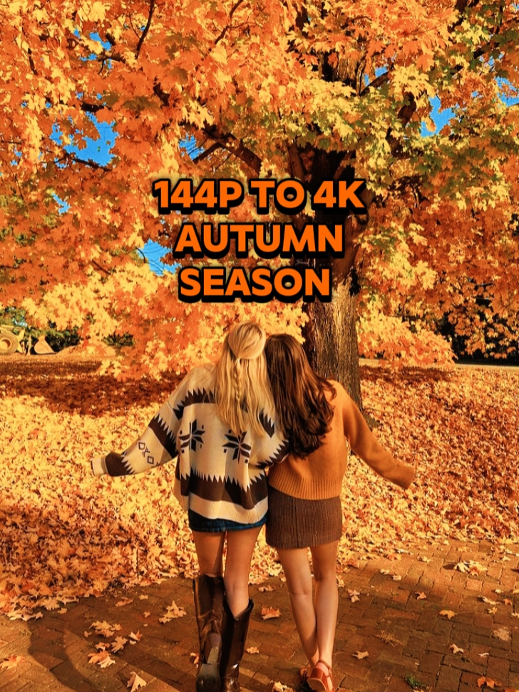 144p vs 4k Sonbahar 