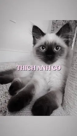 [2] thích anh cơ 