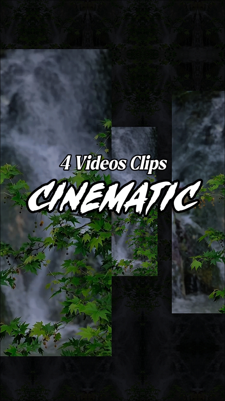 4 Videos Clips