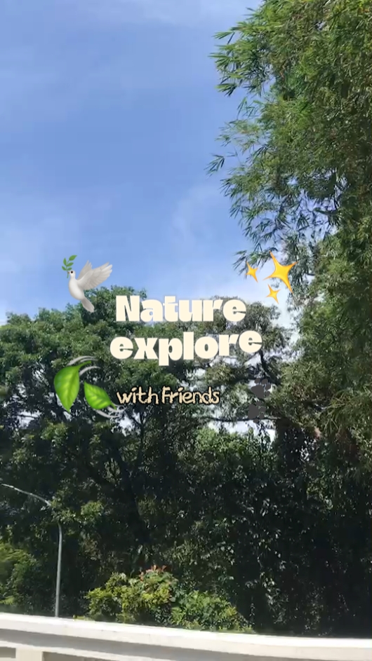 pagbubukas ng tiktok ng vlog 
