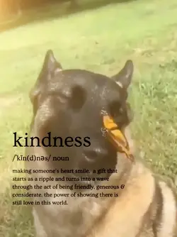 kindness 