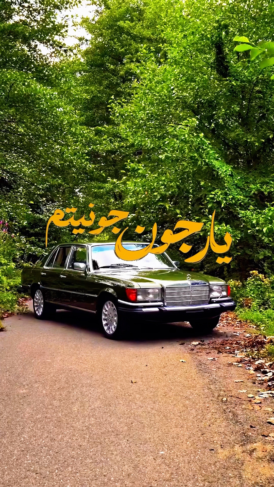 خودم قربونیتم/ایرانی