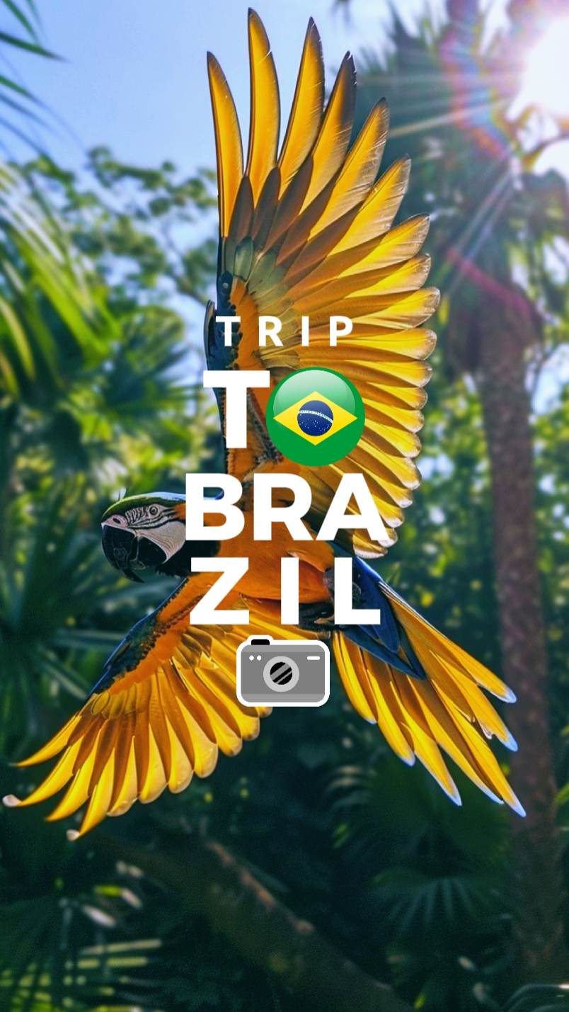 Viagem Ao Brasil